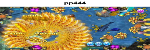Temukan Slot Baru Terbaik di PP444!